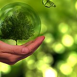 zeigt eine Hand, die eine Glaskugel hält und grüne Landschaft zeigt