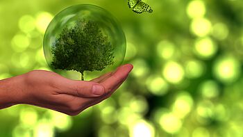 zeigt eine Hand, die eine Glaskugel hält und grüne Landschaft zeigt